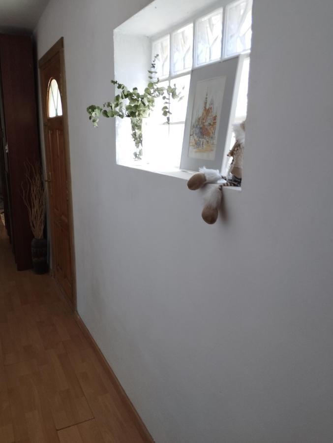 Casa Rural El Olivo Puigmoreno 외부 사진