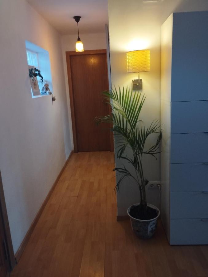 Casa Rural El Olivo Puigmoreno 외부 사진