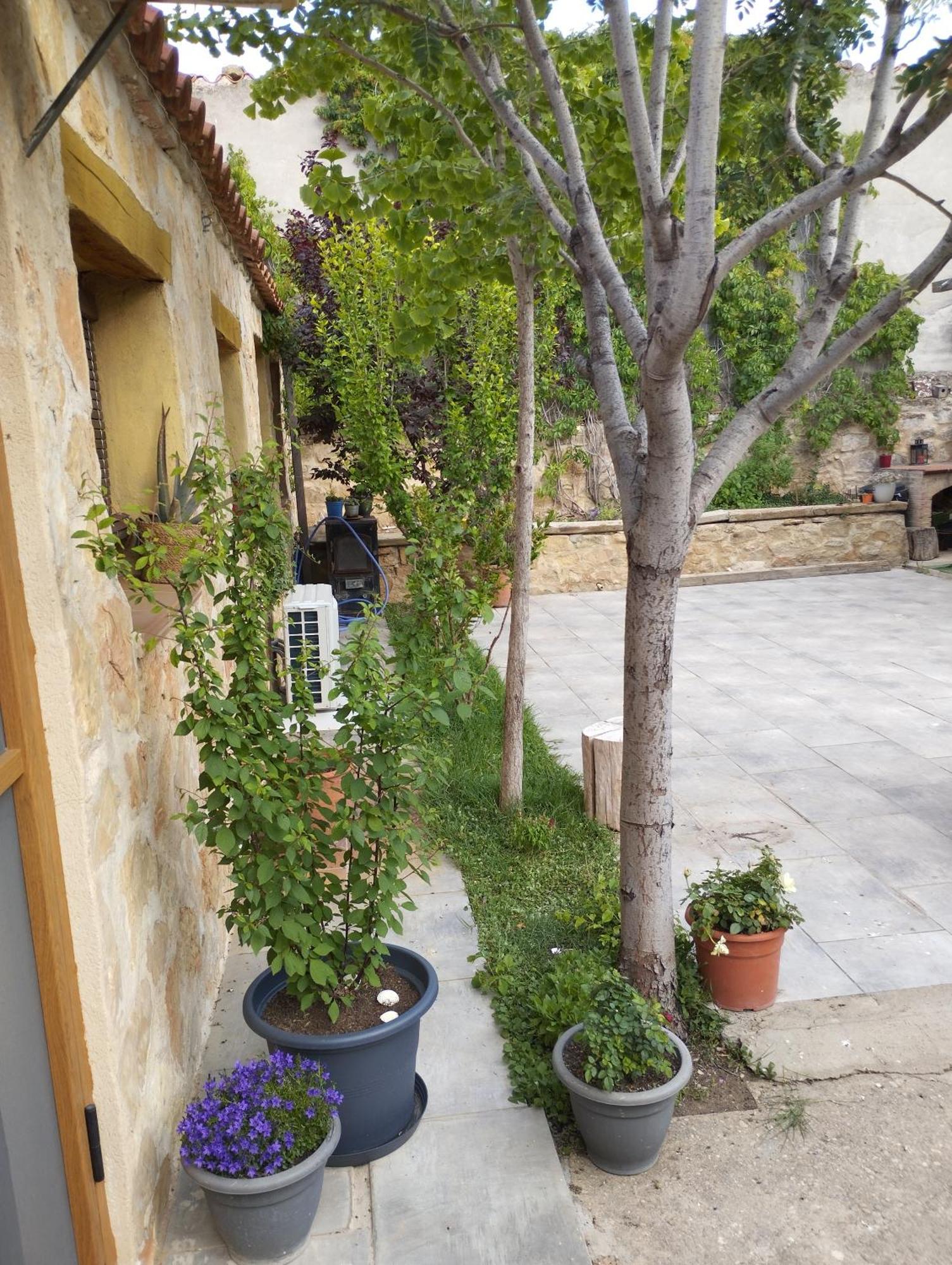 Casa Rural El Olivo Puigmoreno 외부 사진